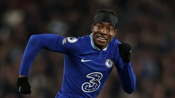  نوني مادويكي