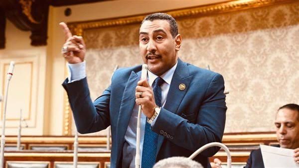  النائب محمد الجبلاوي