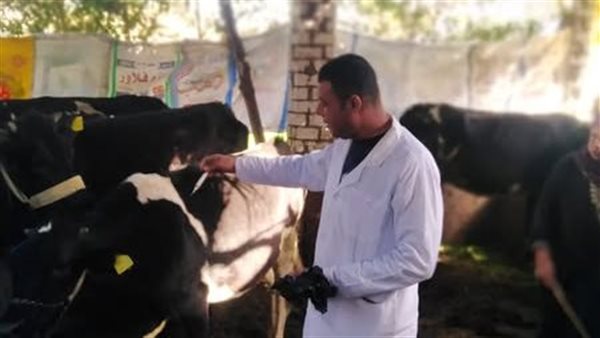  الحملة القومية للتحصين