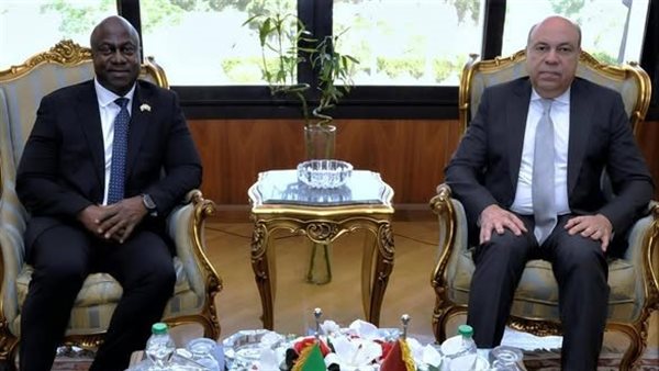 وزير الطيران 