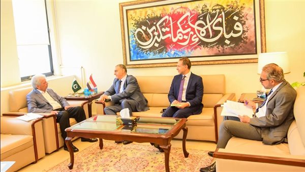 السفير المصري في