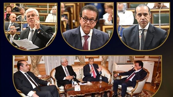 المستشار محمود فوزي