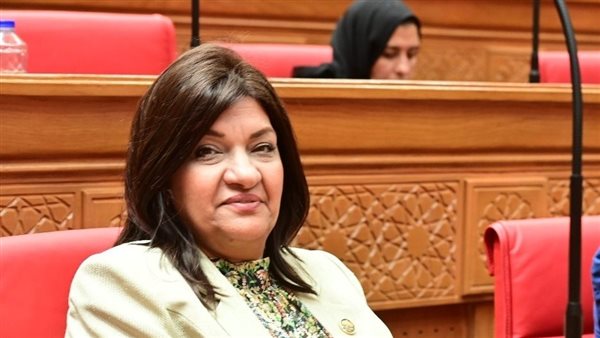  النائبة ايفلين 