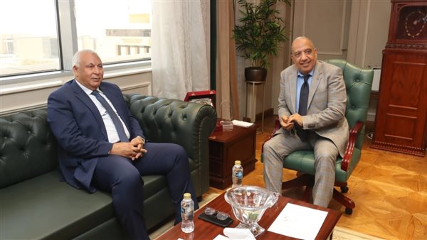 وزير الكهرباء