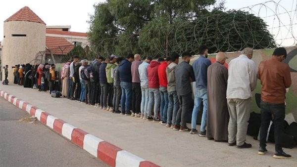 توقيف 144 سوريا 