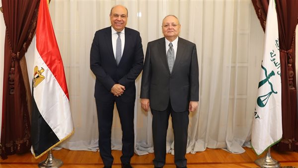 مجلس الدولة