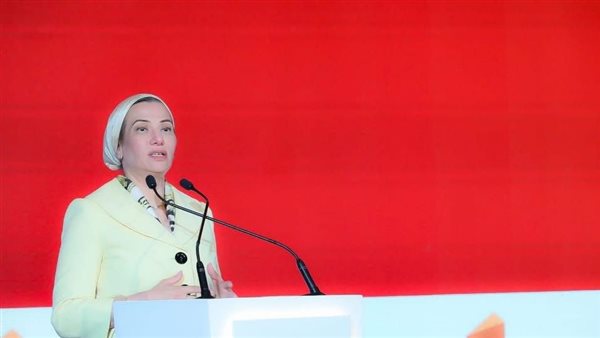  ياسمين فؤاد وزيرة