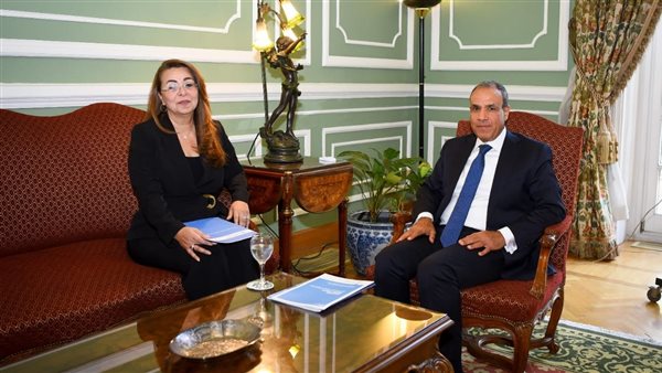 وزير الخارجية