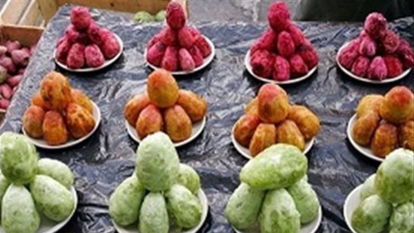 ارتفاع ملحوظ في سعر