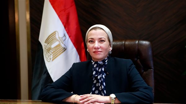  ياسمين فؤاد وزيرة