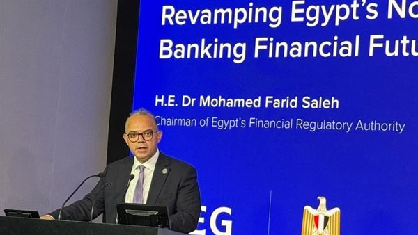 رئيس الرقابة المالية