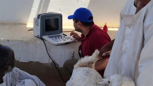 بحوث الصحراء 