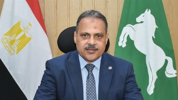 محافظ الشرقية