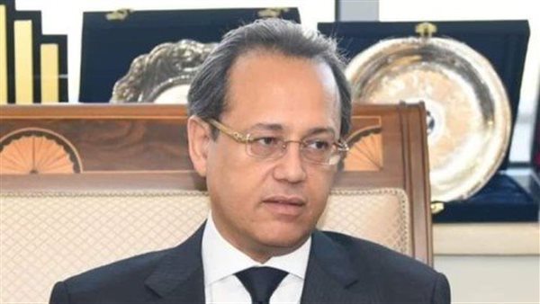 السفير هانى ناجى