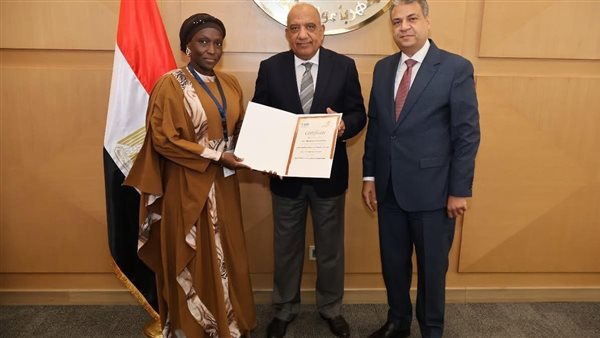 وزير الكهرباء