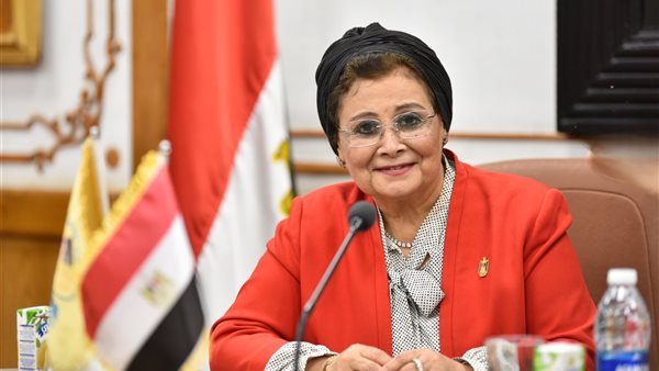  الدكتورة عبلة الألفي