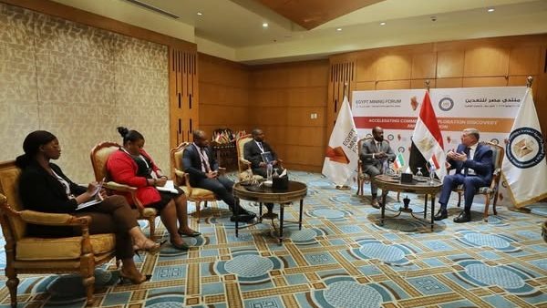  المهندس كريم بدوي