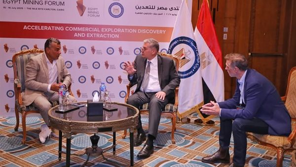  المهندس كريم بدوي