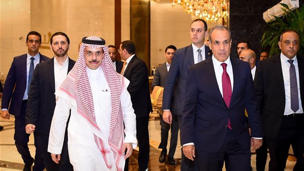 وزير الخارجية والهجرة