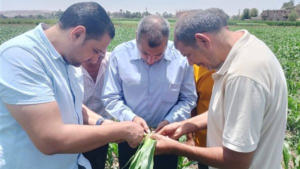 محافظة أسيوط