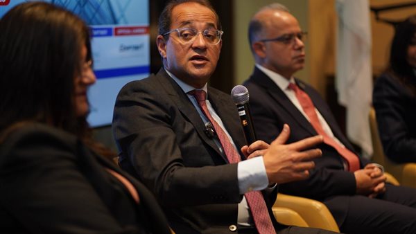 وزير المالية أحمد