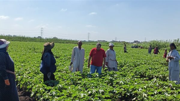 فعاليات مركز البحوث