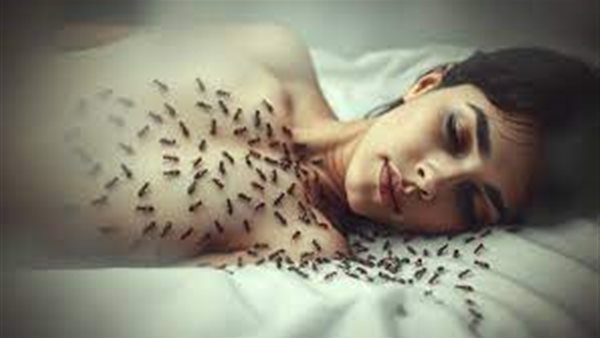 تفسير رؤية النمل