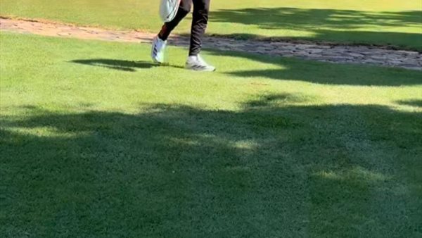 محمد الشناوي 