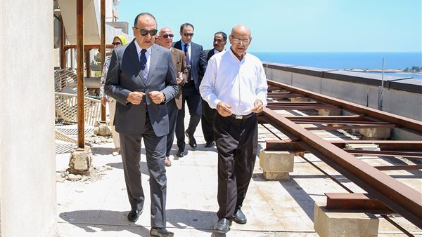 وزير قطاع الأعمال