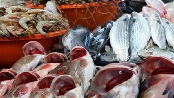  أسعار السمك اليوم
