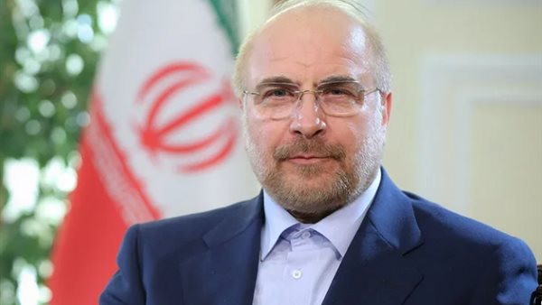 رئيس البرلمان الإيراني