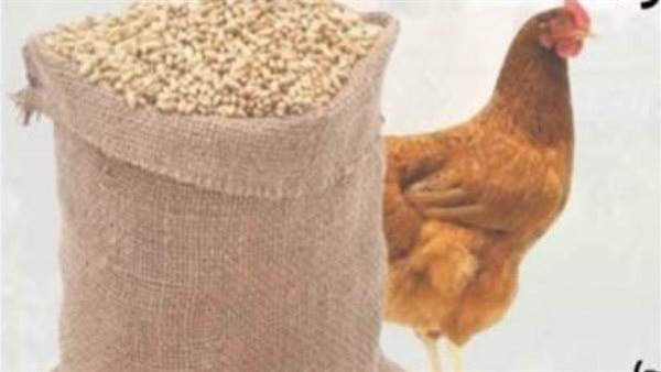 جهود وزارة الزراعة