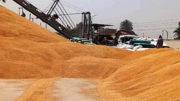 توريد كميات كبيرة