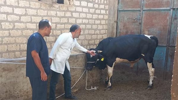 الحملة القومية للتحصين