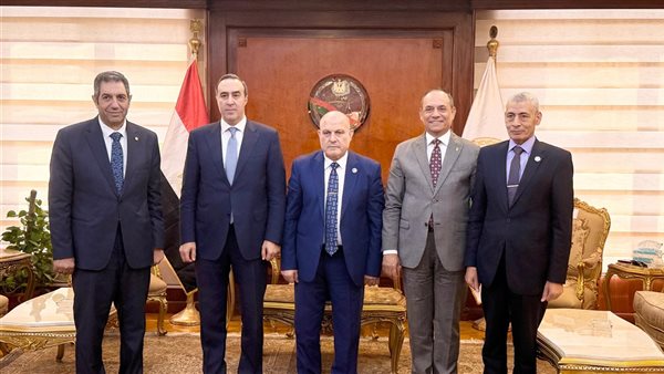 المستشار محمد الشناوي