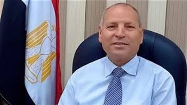 محافظ القاهرة