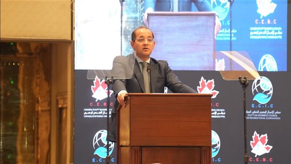 وزير المالية