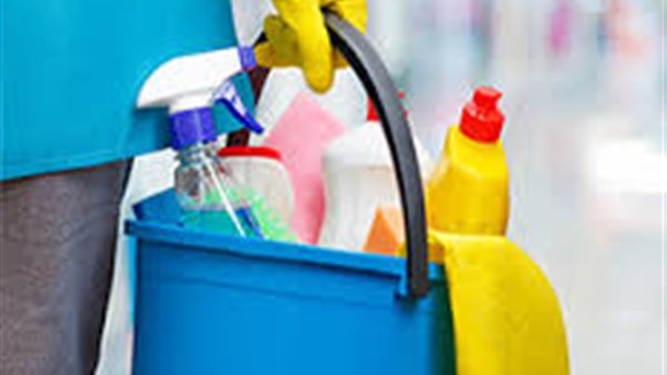 عمالة المنزل 