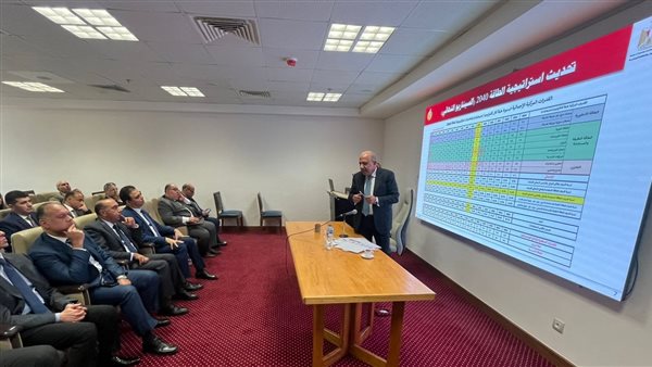 وزير الكهرباء والطاقة