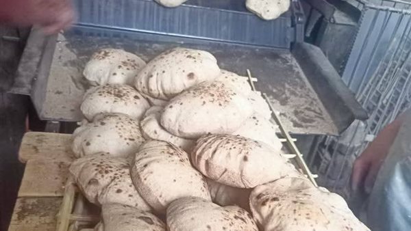  محافظة أسيوط