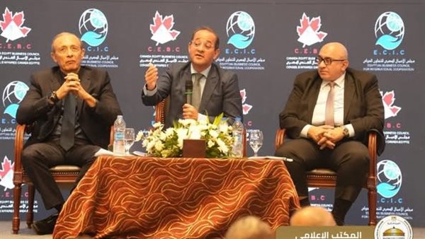  المستشار محمود فوزي