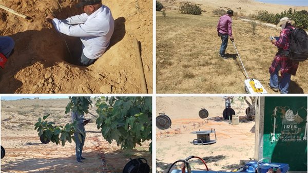  مشروع بحثي اقليمي