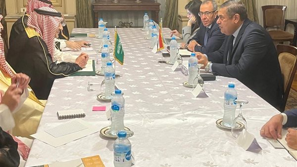 نائب وزير الخارجية