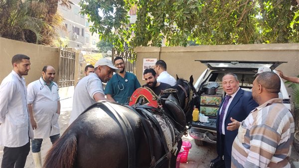 أنشطة الخدمات البيطرية