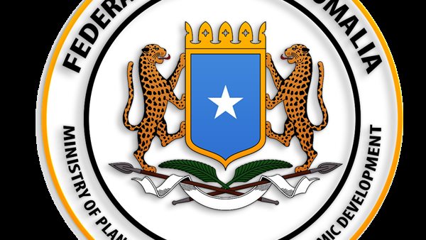 الحكومة الصومالية