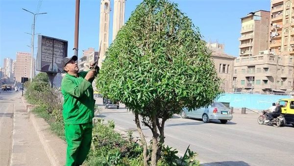  أعمال التجميل وزارعة