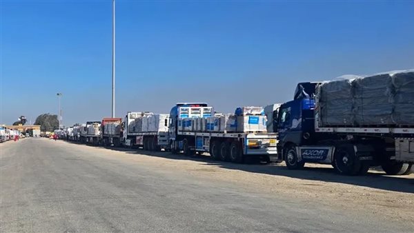 دخول 166 شاحنة من