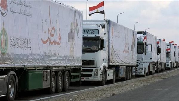 المساعدات الواصلة