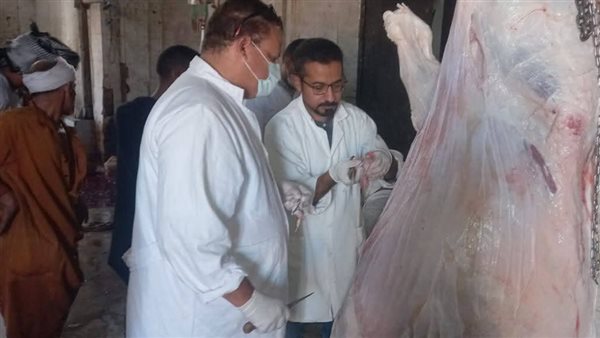 محافظ أسيوط اللواء