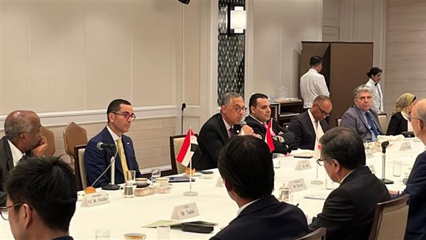 وزير الاستثمار